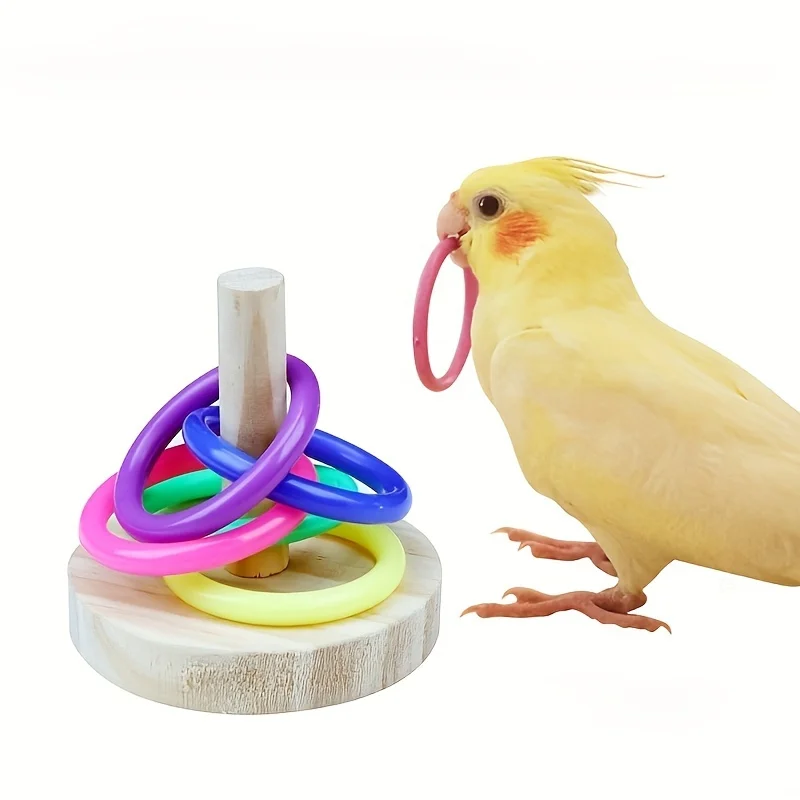 Wooden Interactive Parrot Ring - Gymnastic Ring Wood review and price